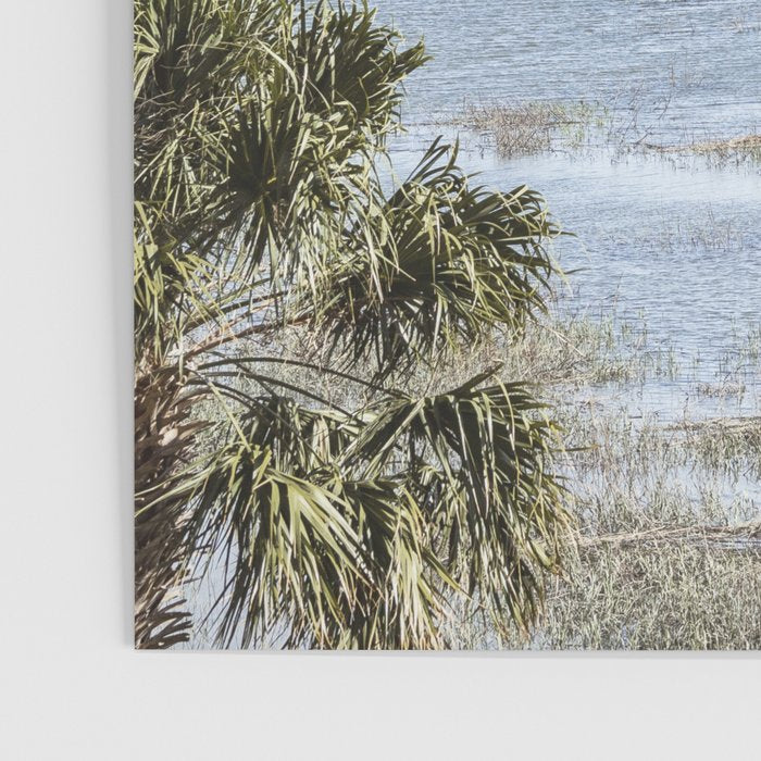 Beaufort South Carolina Sailboats Photography Poster Gallery Image 3
