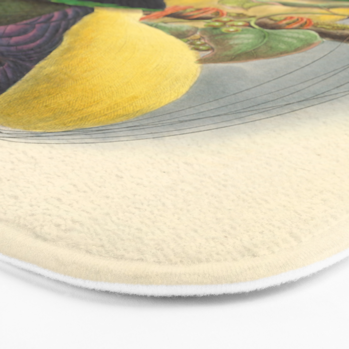 Birds-of-paradise (Seleucides Negricans) by John Gould, 1875-1888 (benefitting the Nature Conservancy) Bath Mat Gallery Image 3
