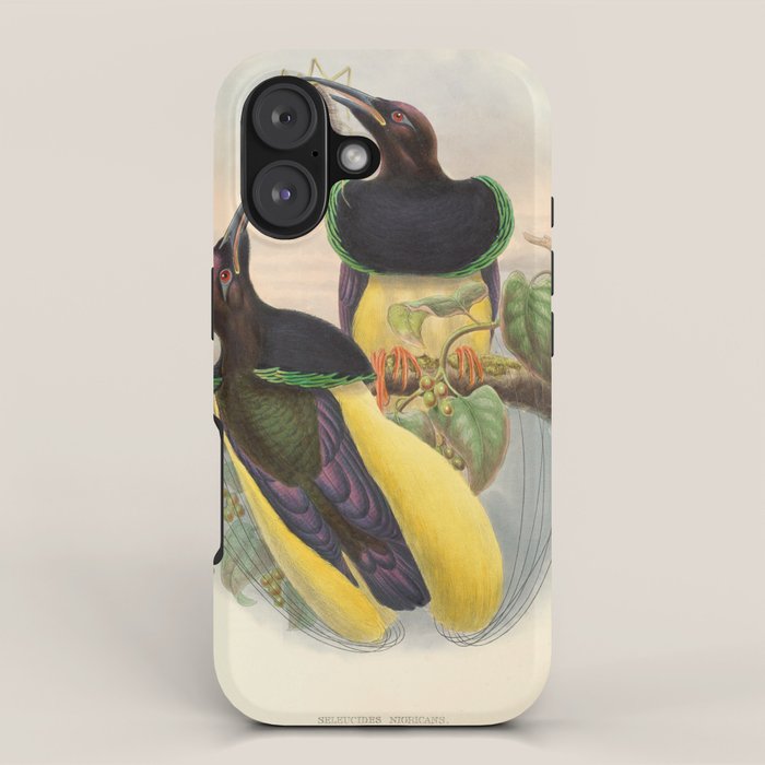 Birds-of-paradise (Seleucides Negricans) by John Gould, 1875-1888 (benefitting the Nature Conservancy) iPhone Case Gallery Image 1