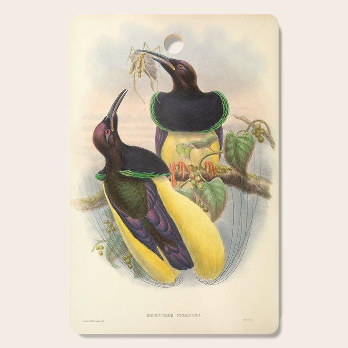 Birds-of-paradise (Seleucides Negricans) by John Gould, 1875-1888 (benefitting the Nature Conservancy) Cutting Board Gallery Image 1