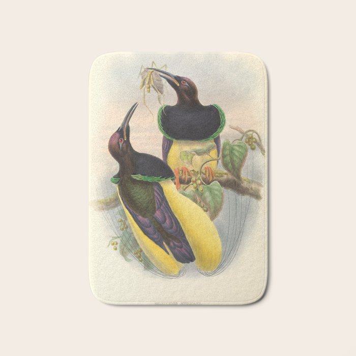 Birds-of-paradise (Seleucides Negricans) by John Gould, 1875-1888 (benefitting the Nature Conservancy) Bath Mat Gallery Image 1