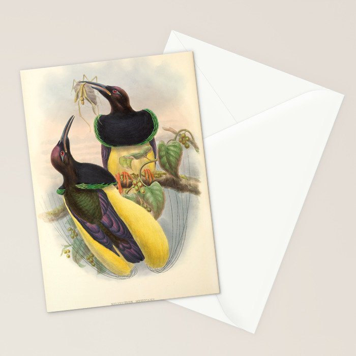 Birds-of-paradise (Seleucides Negricans) by John Gould, 1875-1888 (benefitting the Nature Conservancy) Stationery Card Gallery Image 2
