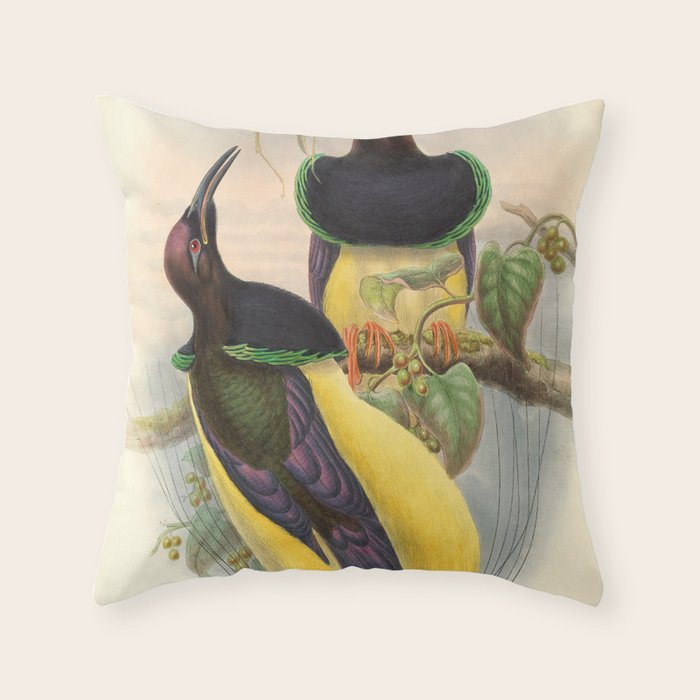 Birds-of-paradise (Seleucides Negricans) by John Gould, 1875-1888 (benefitting the Nature Conservancy) Throw Pillow Gallery Image 6