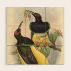 Birds-of-paradise (Seleucides Negricans) by John Gould, 1875-1888 (benefitting the Nature Conservancy) Wood Wall Art Gallery Image 1