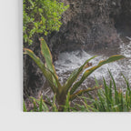 Hawaiian Turquoise Cove Poster Gallery Image 3
