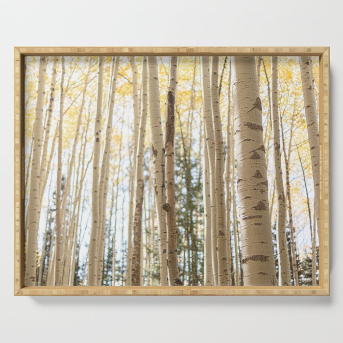 Autumn Aspen Forest Colorado Photography Serving Tray Gallery Image 1