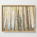 Autumn Aspen Forest Colorado Photography Serving Tray Gallery Image 1