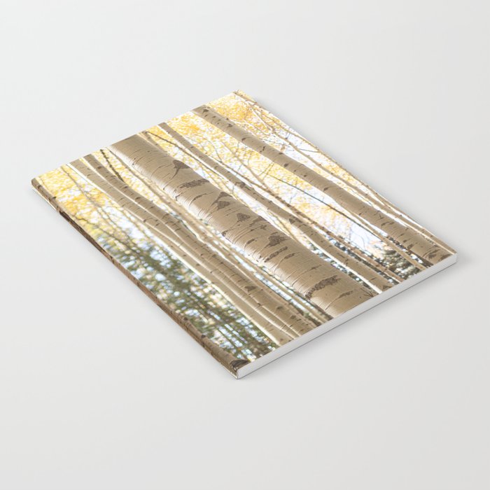 Autumn Aspen Forest Colorado Photography Notebook Gallery Image 1