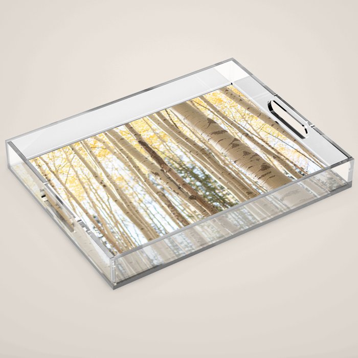 Autumn Aspen Forest Colorado Photography Acrylic Tray Gallery Image 1