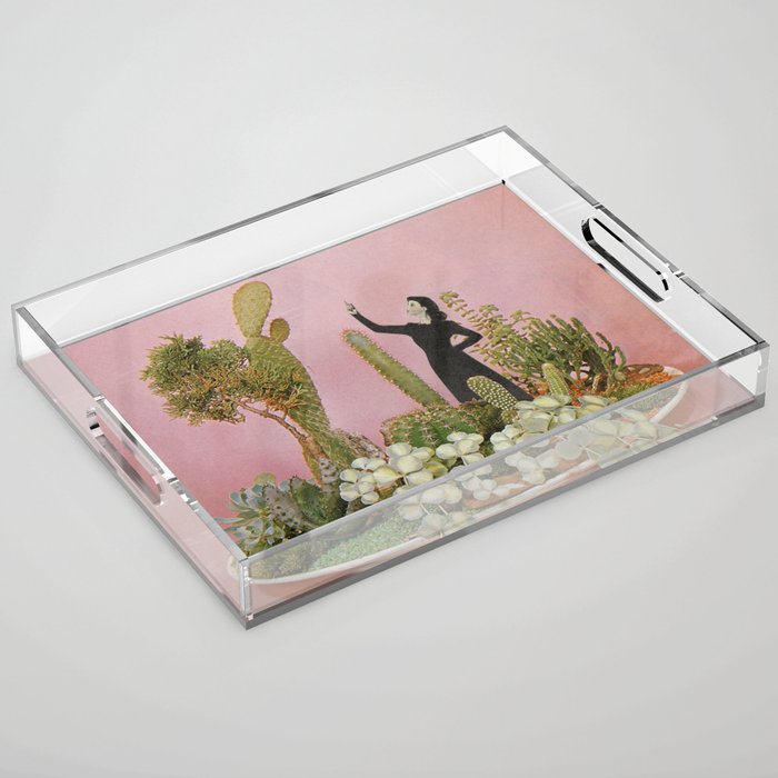 The Wonders of Cactus Island Acrylic Tray Gallery Image 1