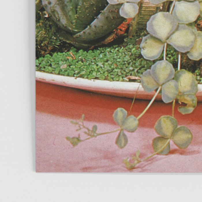 The Wonders of Cactus Island Poster Gallery Image 3
