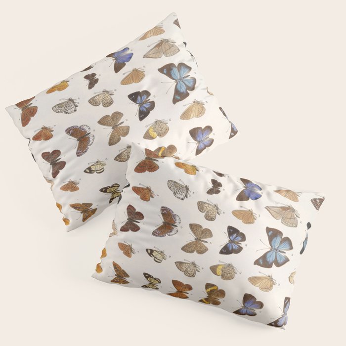 Vintage Scientific Insect Butterfly Moth Biological Hand Drawn Species Art Illustration Pillow Sham Gallery Image 1