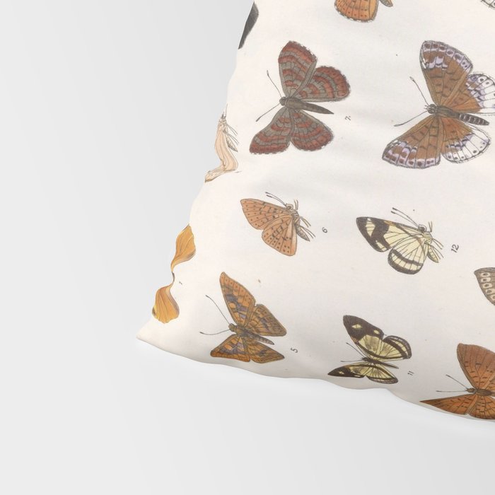 Vintage Scientific Insect Butterfly Moth Biological Hand Drawn Species Art Illustration Pillow Sham Gallery Image 4