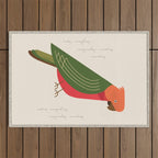 Australian King Parrot, Bird of Australia Outdoor Rug Gallery Image 1