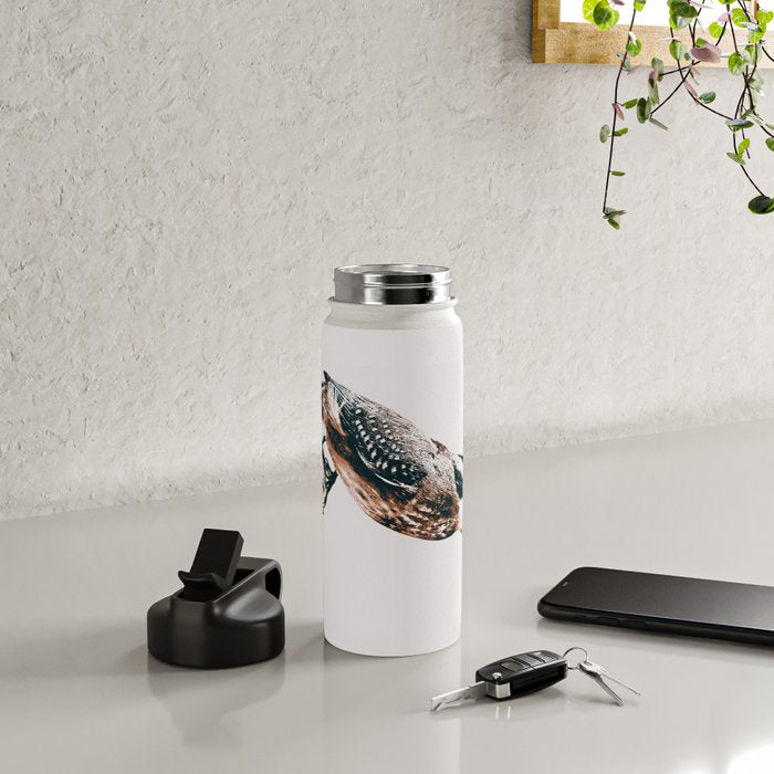 BIRD Water Bottle Gallery Image 4