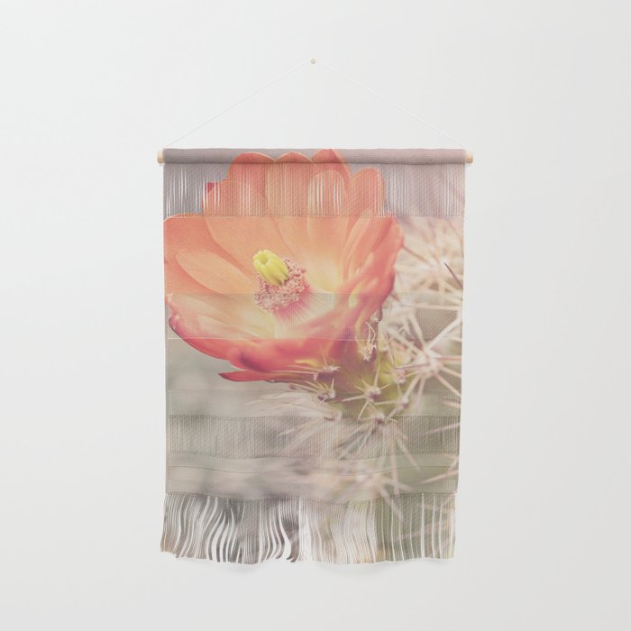 Cactus Bloom x West Texas Photography Wall Hanging Gallery Image 1