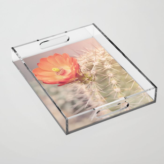 Cactus Bloom x West Texas Photography Acrylic Tray Gallery Image 1