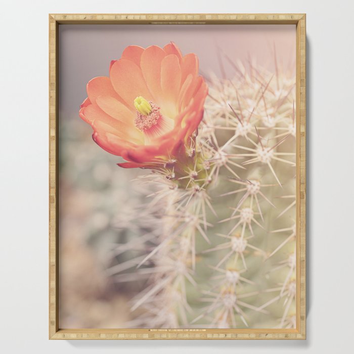 Cactus Bloom x West Texas Photography Serving Tray Gallery Image 1