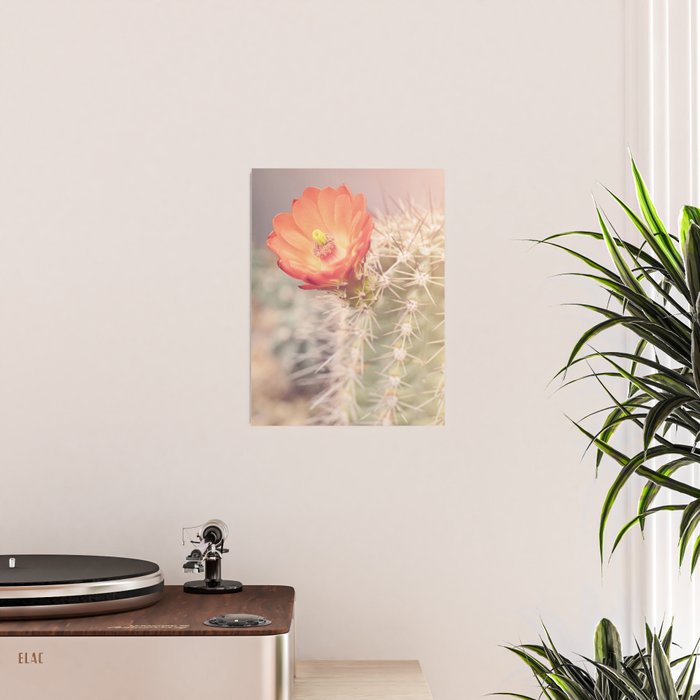 Cactus Bloom x West Texas Photography Poster Gallery Image 2