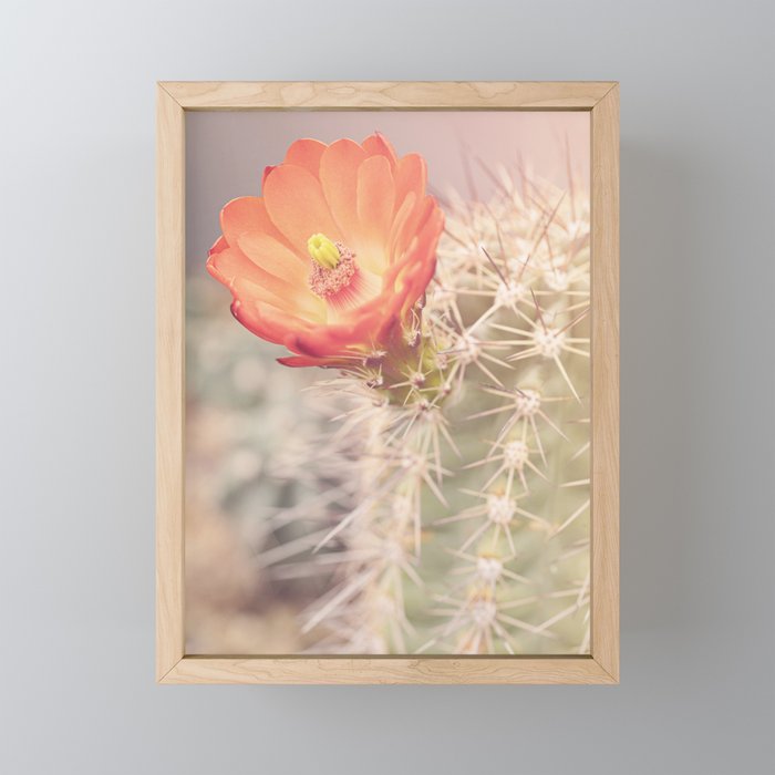 Cactus Bloom x West Texas Photography Mini Art Print Gallery Image 1