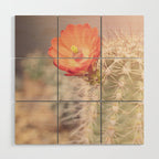 Cactus Bloom x West Texas Photography Wood Wall Art Gallery Image 1