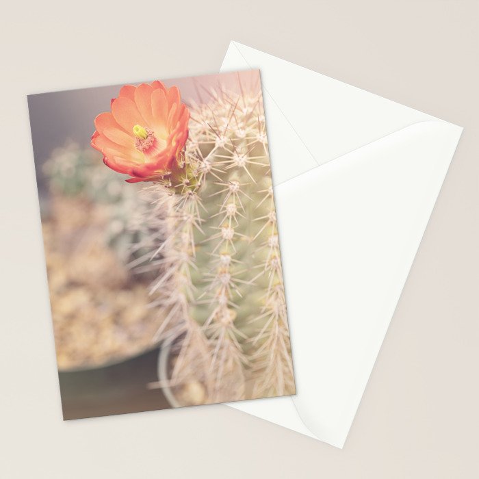 Cactus Bloom x West Texas Photography Stationery Card Gallery Image 2