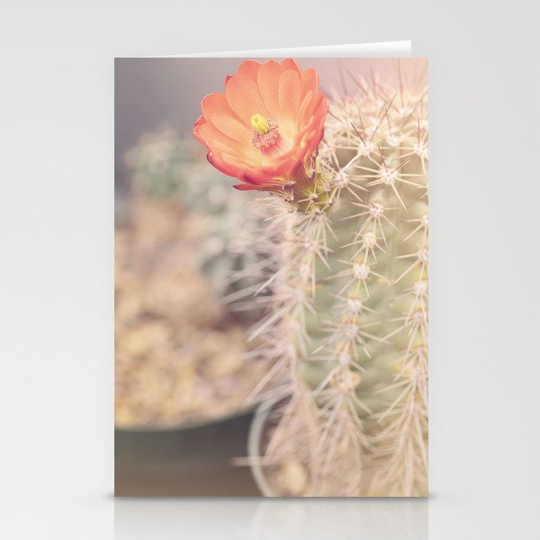 Cactus Bloom x West Texas Photography Stationery Card Gallery Image 2
