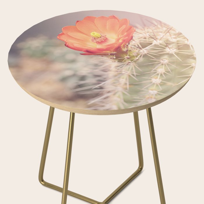 Cactus Bloom x West Texas Photography Side Table Gallery Image 2
