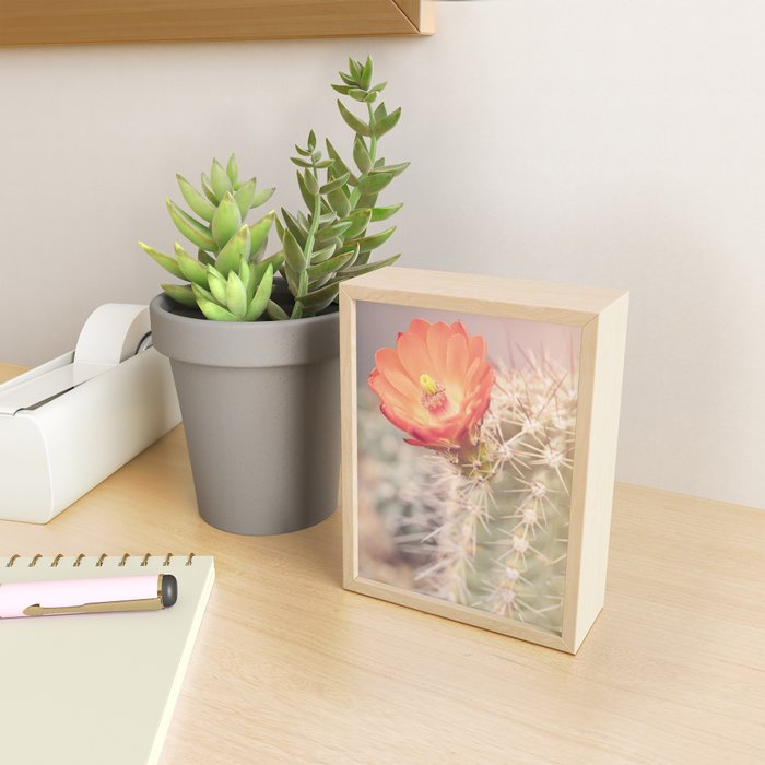 Cactus Bloom x West Texas Photography Mini Art Print Gallery Image 2