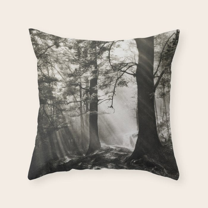 Pathway of light, sunlight and sunbeams in forest black and white photograph by J W Chapman Taylor Throw Pillow Gallery Image 6