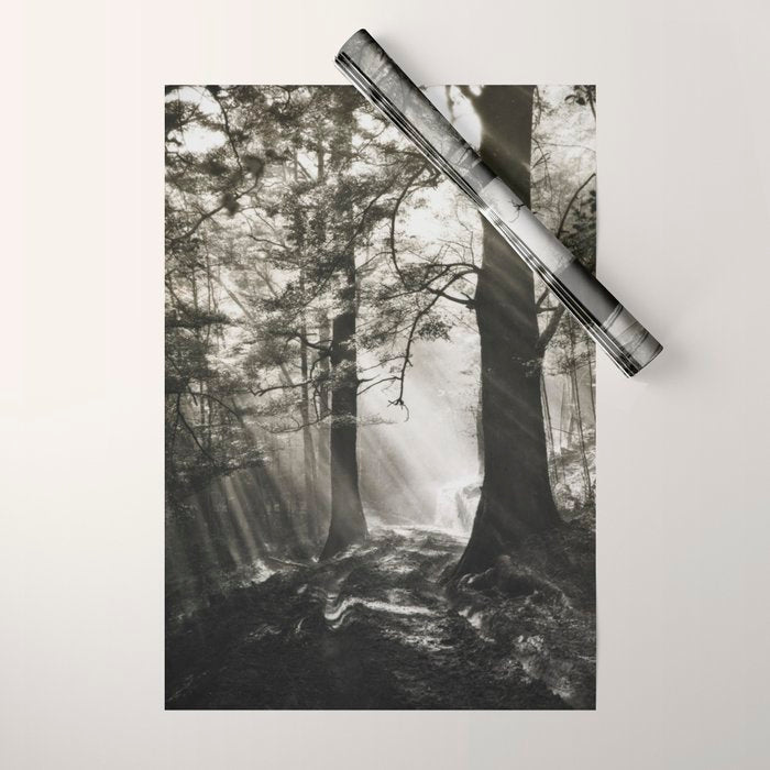 Pathway of light, sunlight and sunbeams in forest black and white photograph by J W Chapman Taylor Wrapping Paper Gallery Image 1