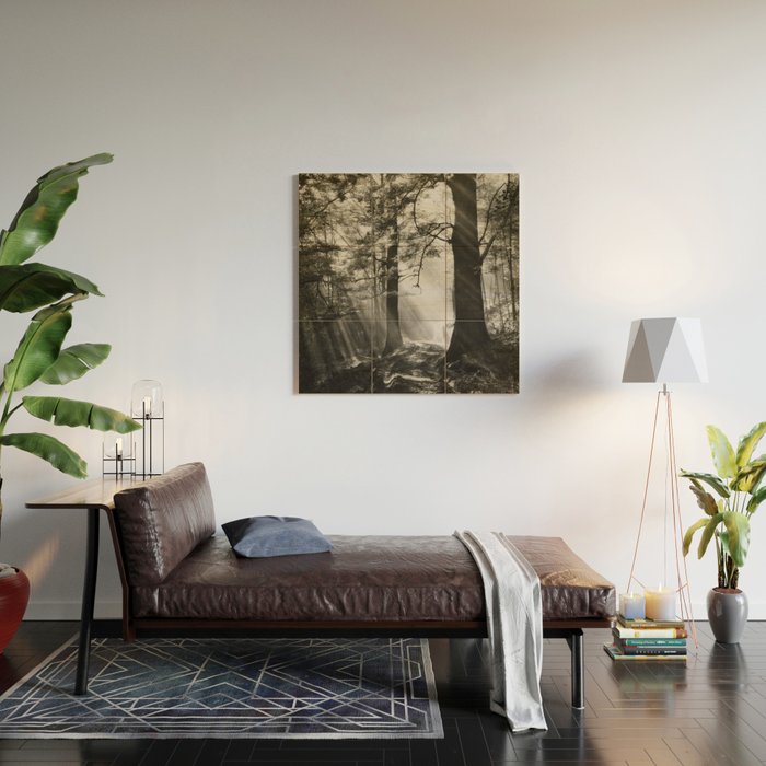 Pathway of light, sunlight and sunbeams in forest black and white photograph by J W Chapman Taylor Wood Wall Art Gallery Image 2