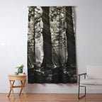 Pathway of light, sunlight and sunbeams in forest black and white photograph by J W Chapman Taylor Window Curtain Gallery Image 5
