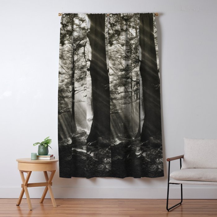 Pathway of light, sunlight and sunbeams in forest black and white photograph by J W Chapman Taylor Window Curtain Gallery Image 5