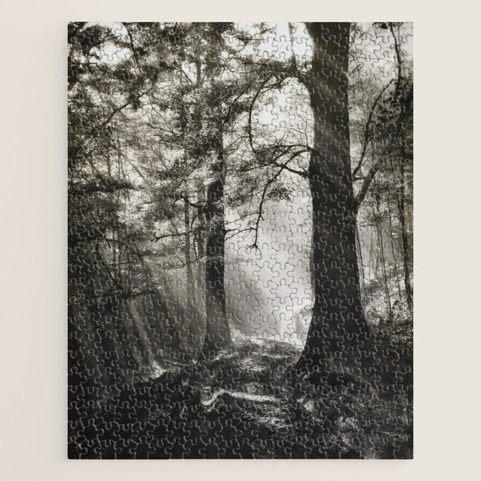 Pathway of light, sunlight and sunbeams in forest black and white photograph by J W Chapman Taylor Jigsaw Puzzle Gallery Image 1