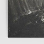 Pathway of light, sunlight and sunbeams in forest black and white photograph by J W Chapman Taylor Poster Gallery Image 3