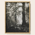 Pathway of light, sunlight and sunbeams in forest black and white photograph by J W Chapman Taylor Serving Tray Gallery Image 1