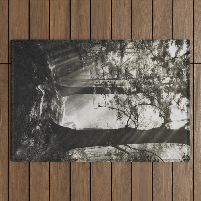 Pathway of light, sunlight and sunbeams in forest black and white photograph by J W Chapman Taylor Outdoor Rug Gallery Image 1