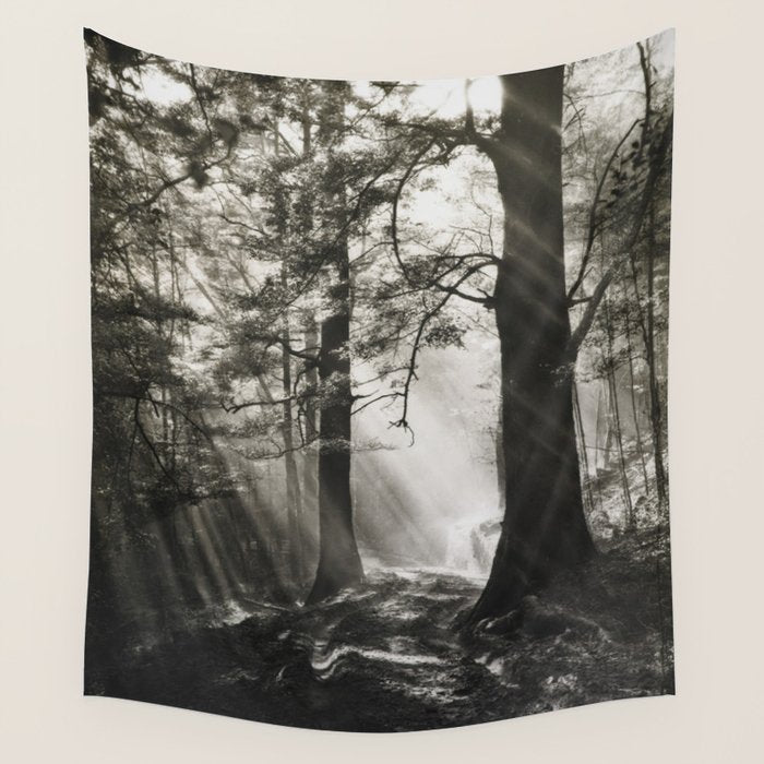 Pathway of light, sunlight and sunbeams in forest black and white photograph by J W Chapman Taylor Wall Tapestry Gallery Image 1