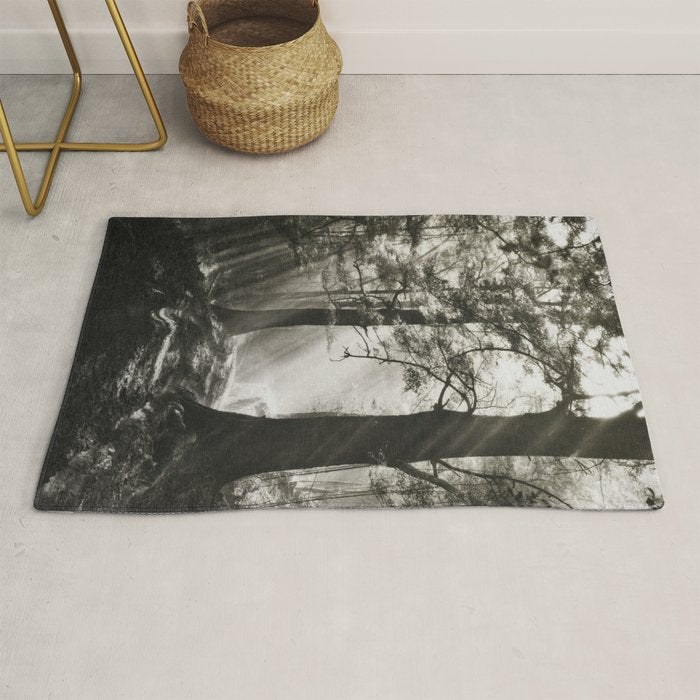Pathway of light, sunlight and sunbeams in forest black and white photograph by J W Chapman Taylor Rug Gallery Image 1