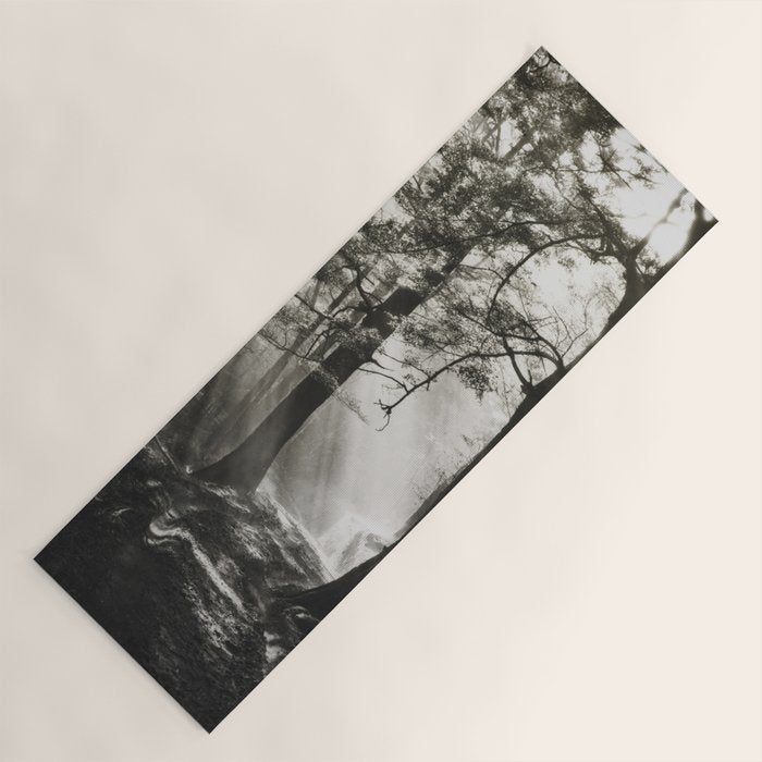 Pathway of light, sunlight and sunbeams in forest black and white photograph by J W Chapman Taylor Yoga Mat Gallery Image 1