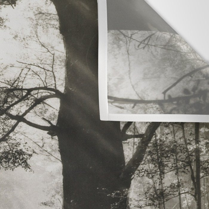 Pathway of light, sunlight and sunbeams in forest black and white photograph by J W Chapman Taylor Wall Tapestry Gallery Image 3