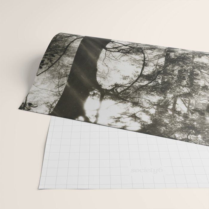 Pathway of light, sunlight and sunbeams in forest black and white photograph by J W Chapman Taylor Wrapping Paper Gallery Image 2