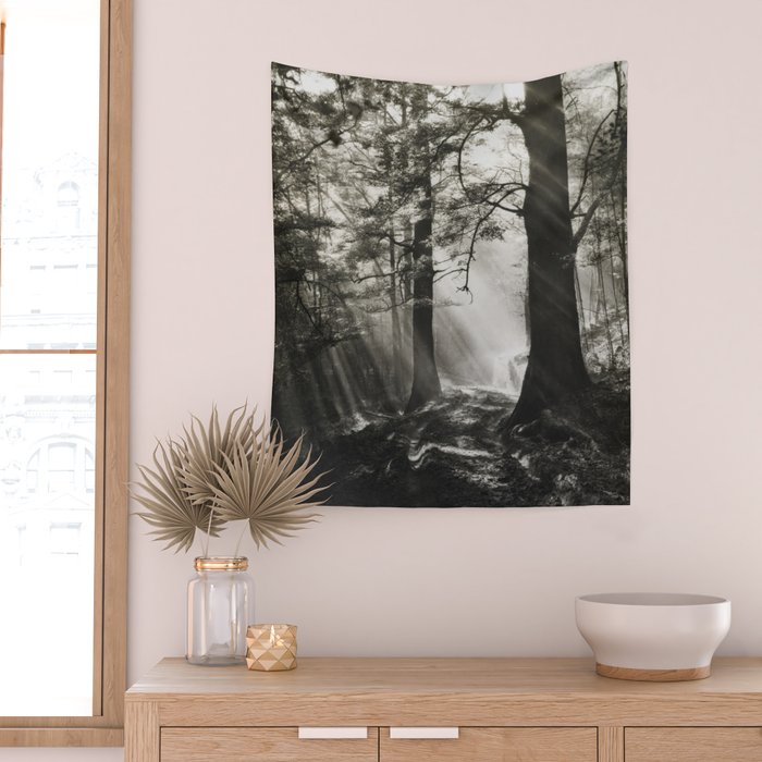 Pathway of light, sunlight and sunbeams in forest black and white photograph by J W Chapman Taylor Wall Tapestry Gallery Image 2
