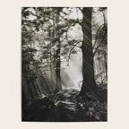 Pathway of light, sunlight and sunbeams in forest black and white photograph by J W Chapman Taylor Poster Gallery Image 4