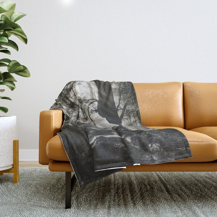 Pathway of light, sunlight and sunbeams in forest black and white photograph by J W Chapman Taylor Throw Blanket Gallery Image 1
