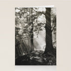 Pathway of light, sunlight and sunbeams in forest black and white photograph by J W Chapman Taylor Stationery Card Gallery Image 2