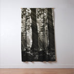 Pathway of light, sunlight and sunbeams in forest black and white photograph by J W Chapman Taylor Window Curtain Gallery Image 3