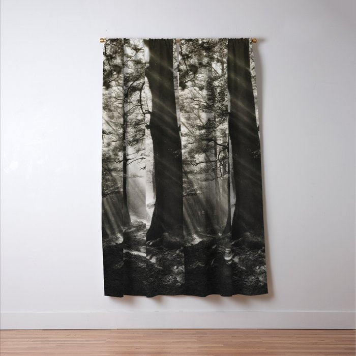 Pathway of light, sunlight and sunbeams in forest black and white photograph by J W Chapman Taylor Window Curtain Gallery Image 3