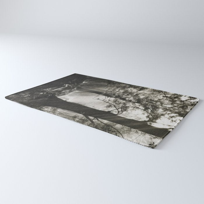 Pathway of light, sunlight and sunbeams in forest black and white photograph by J W Chapman Taylor Rug Gallery Image 3
